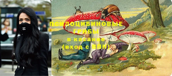 хмурый Аркадак