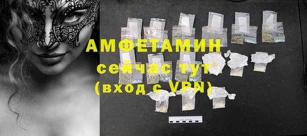 хмурый Аркадак