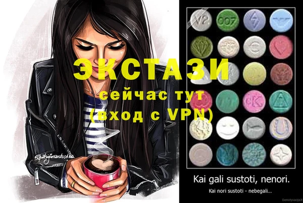 хмурый Аркадак
