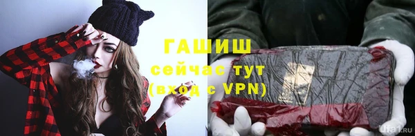 хмурый Аркадак