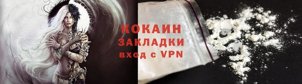 дмт Арсеньев