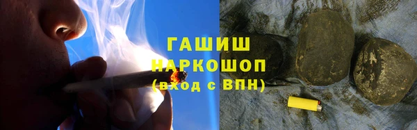 хмурый Аркадак