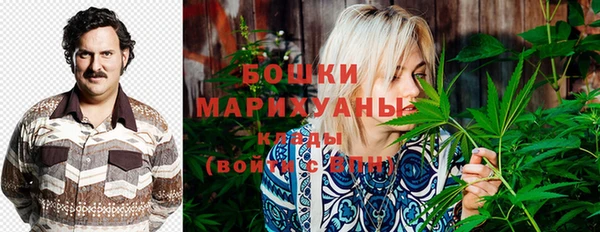 хмурый Аркадак