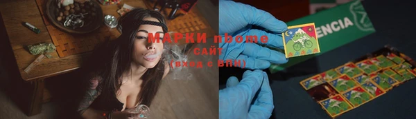 хмурый Аркадак