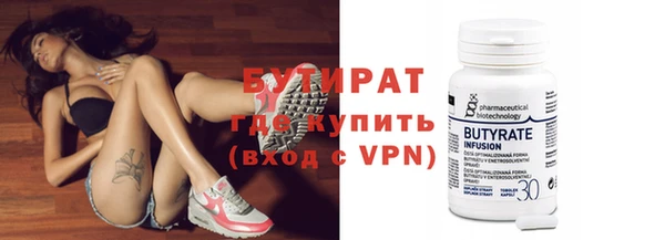 хмурый Аркадак
