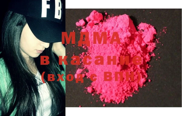 хмурый Аркадак