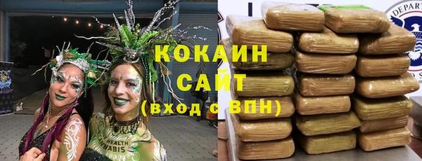 хмурый Аркадак