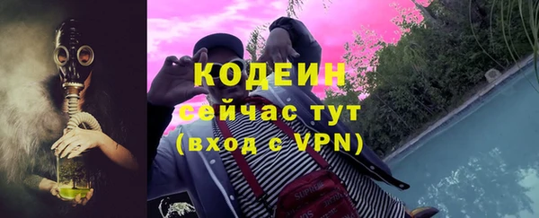 молекула духа Пересвет