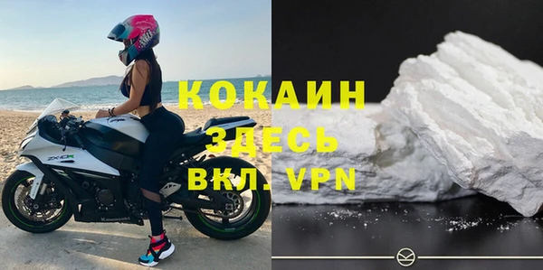 хмурый Аркадак