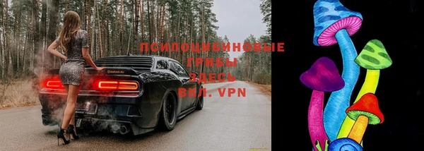 дмт Арсеньев