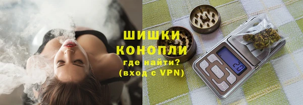 дмт Арсеньев