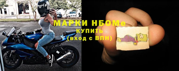 хмурый Аркадак