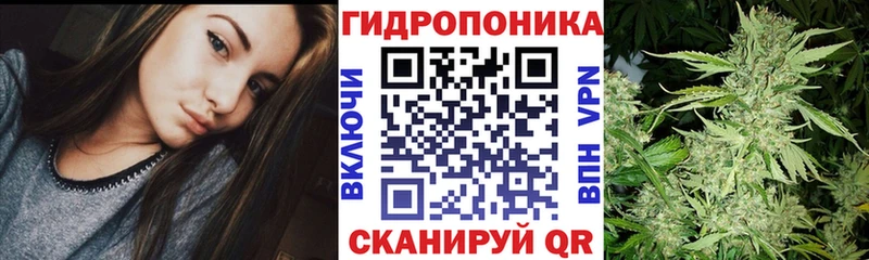 shop какой сайт  Малоярославец  Шишки марихуана индика 